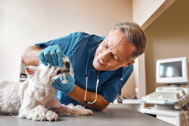 Best Emergency Dental Care for Trauma or Injury in Apalachicola, FL